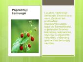 Liaudies medicina skaidrės 16 puslapis