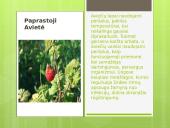 Liaudies medicina skaidrės 9 puslapis