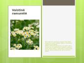 Liaudies medicina skaidrės 10 puslapis