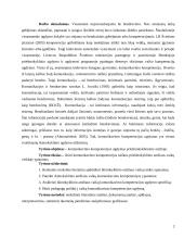 Komunikacinės kompetencijos kursinis darbas 2 puslapis