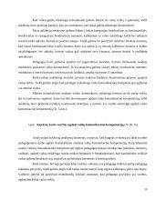 Komunikacinės kompetencijos kursinis darbas 19 puslapis