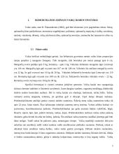 Komunikacinės kompetencijos kursinis darbas 3 puslapis