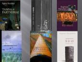 Sigitas Parulskis ir jo kūryba 13 puslapis