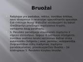 Sigitas Parulskis ir jo kūryba 5 puslapis