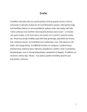 Psichologija, konfliktai. Referatas. 2 puslapis