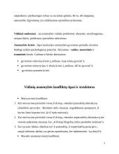 Psichologija, konfliktai. Referatas. 4 puslapis