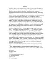 Pagrindinės žmogaus teisės, laisvės ir pareigos 2 puslapis