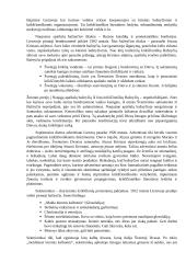 Netradiciniai tikėjimai ir jų socialinė reikšmė 4 puslapis