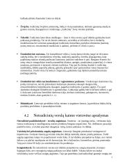 Tradicinių ir netradicinių verslų plėtojimas Lietuvos kaimiškose vietovėse 6 puslapis