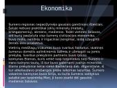 Šumerai ir jų gyvenimo subtilybės 6 puslapis