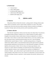 Verslo idėja "Valymo paslaugos" 11 puslapis