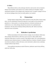 Verslo idėja "Valymo paslaugos" 12 puslapis