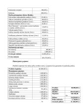 Verslo idėja "Valymo paslaugos" 14 puslapis