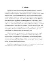 Verslo idėja "Valymo paslaugos" 4 puslapis