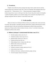 Verslo idėja "Valymo paslaugos" 7 puslapis