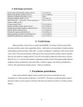 Verslo idėja "Valymo paslaugos" 8 puslapis