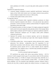 Magistralės referatas 12 puslapis