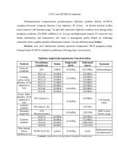 Magistralės referatas 17 puslapis