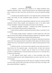 Magistralės referatas 18 puslapis