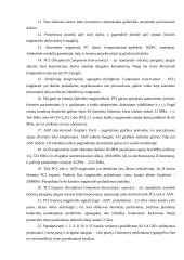 Magistralės referatas 19 puslapis