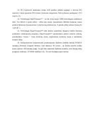 Magistralės referatas 20 puslapis