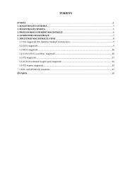 Magistralės referatas 3 puslapis