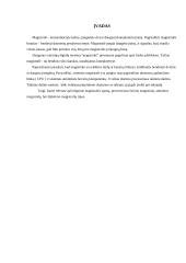 Magistralės referatas 4 puslapis