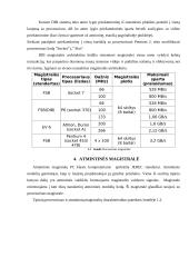 Magistralės referatas 7 puslapis