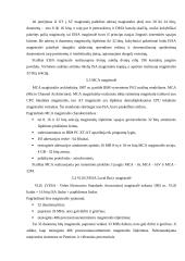 Magistralės referatas 10 puslapis