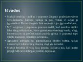 Mažoji ūkio bendrija 12 puslapis