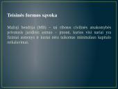 Mažoji ūkio bendrija 3 puslapis