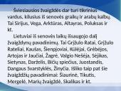 Žvaigždynai pristatymas 11 puslapis