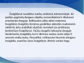 Žvaigždynai pristatymas 7 puslapis