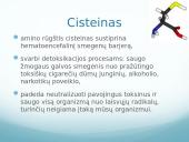 Mitybos fiziologija. Būtinos amino rūgštys ir jų natūralūs šaltiniai 11 puslapis