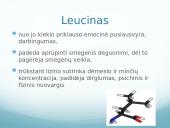 Mitybos fiziologija. Būtinos amino rūgštys ir jų natūralūs šaltiniai 15 puslapis