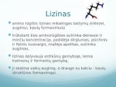 Mitybos fiziologija. Būtinos amino rūgštys ir jų natūralūs šaltiniai 16 puslapis