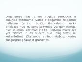Mitybos fiziologija. Būtinos amino rūgštys ir jų natūralūs šaltiniai 19 puslapis