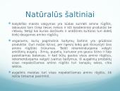 Mitybos fiziologija. Būtinos amino rūgštys ir jų natūralūs šaltiniai 20 puslapis