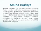 Mitybos fiziologija. Būtinos amino rūgštys ir jų natūralūs šaltiniai 6 puslapis