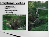 Aukštaitijos etnogeografinis regionas 13 puslapis