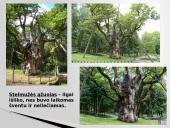 Aukštaitijos etnogeografinis regionas 14 puslapis