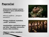 Aukštaitijos etnogeografinis regionas 7 puslapis