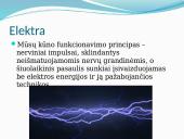 Filosijos ryšys su technologijos mokslu 11 puslapis