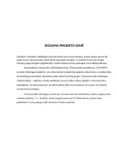 Verslo planas „STATVIRTA“ 2 puslapis