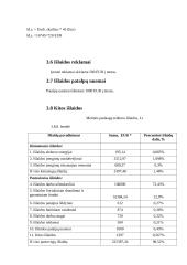 Verslo planas „STATVIRTA“ 11 puslapis