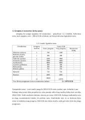 Verslo planas „STATVIRTA“ 4 puslapis