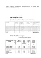Verslo planas „STATVIRTA“ 8 puslapis