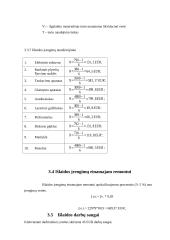 Verslo planas „STATVIRTA“ 10 puslapis