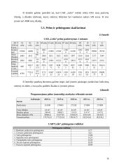 Grožio salono atidarymas 16 puslapis