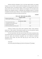 Grožio salono atidarymas 17 puslapis